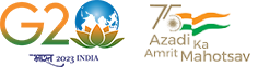 G20